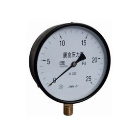 YE-60/100/150膜盒壓力表